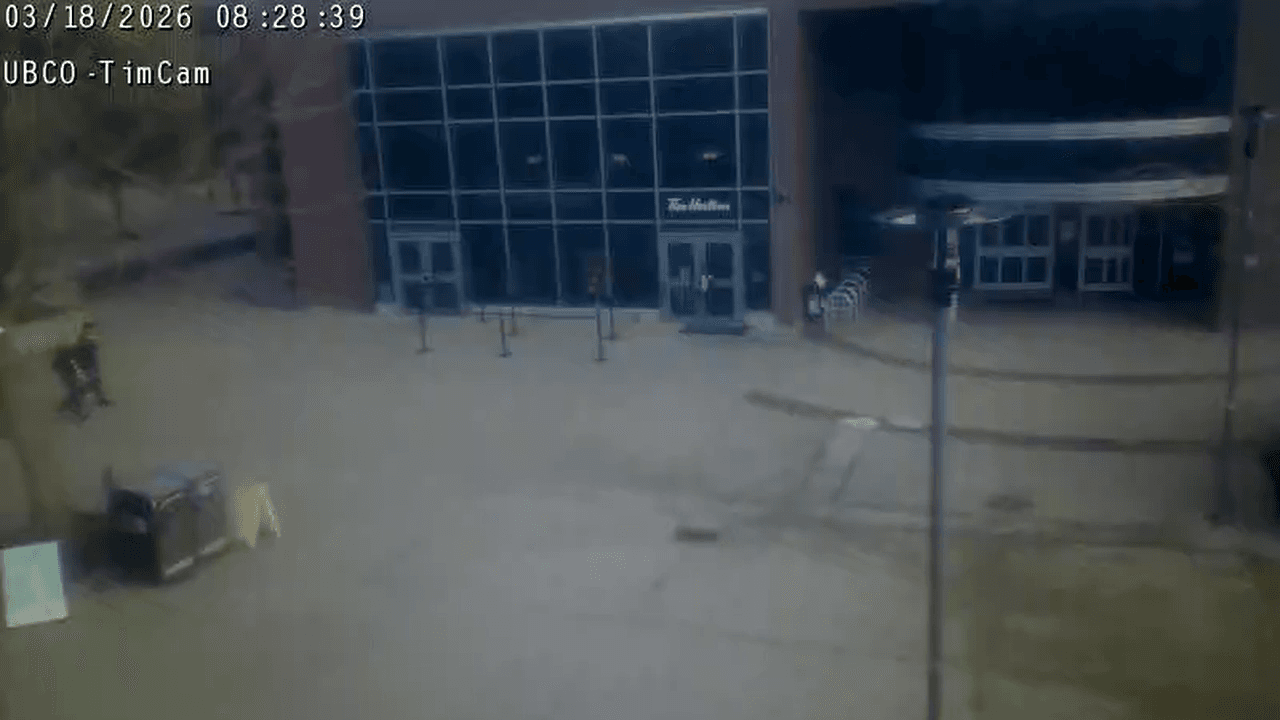 A frame from the timcam feed, showing the courtyard and the line