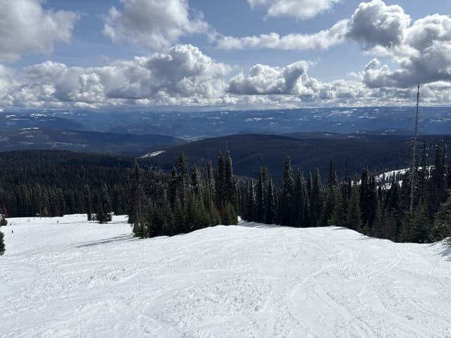 Headshot of Onyx Cheyne